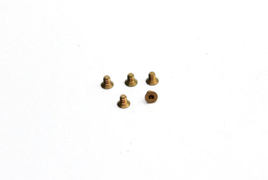 Reflex Racing Titanium M2x3 CS Screws (5pcs) RX28A-71